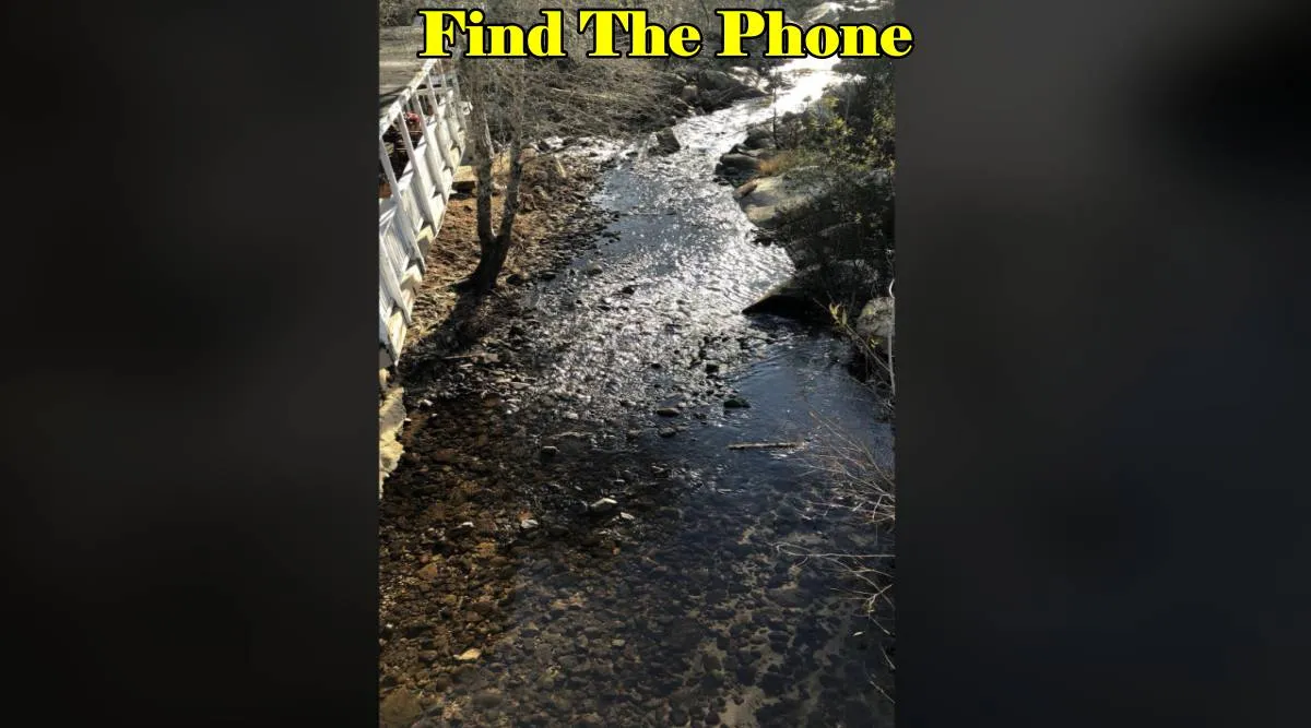Find the phone
