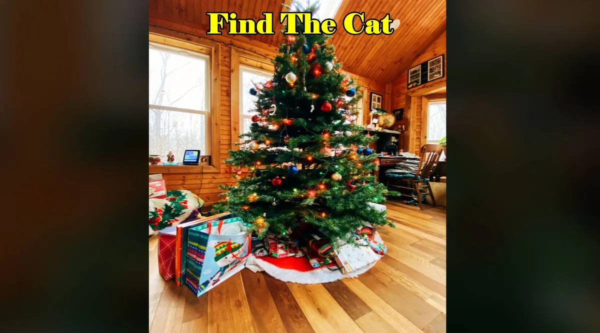 Christmus tree