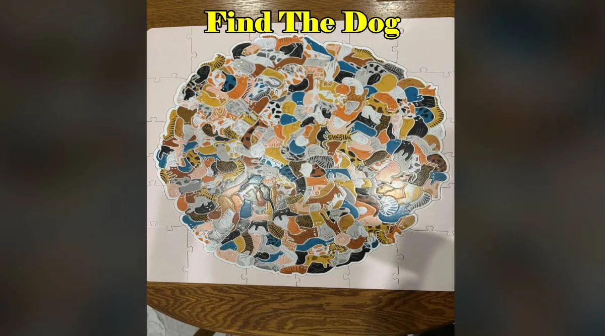 Find The Dog