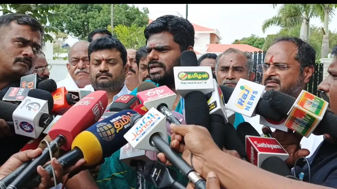 WhatsApp Image 2024-12-27 at 10.51.15