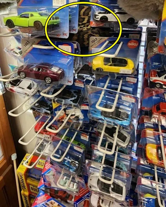 Spot Snake 