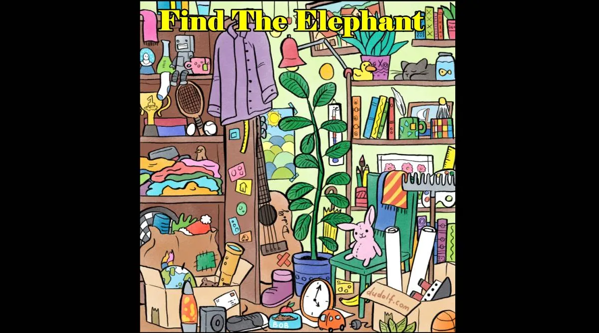 Find The Elephant 1
