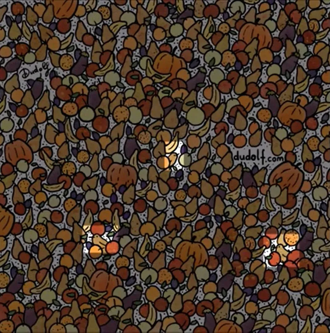 Find Three birds