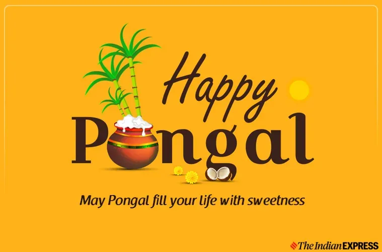 pongal-3