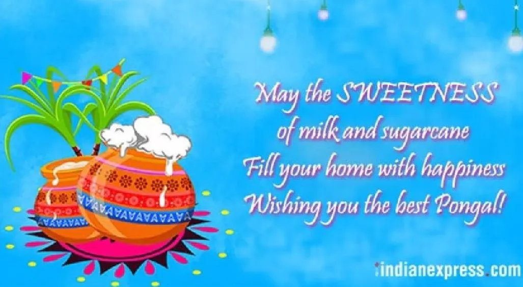 Pongal greet 1