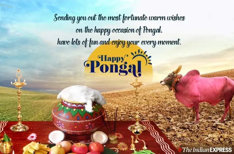 Pongal_5