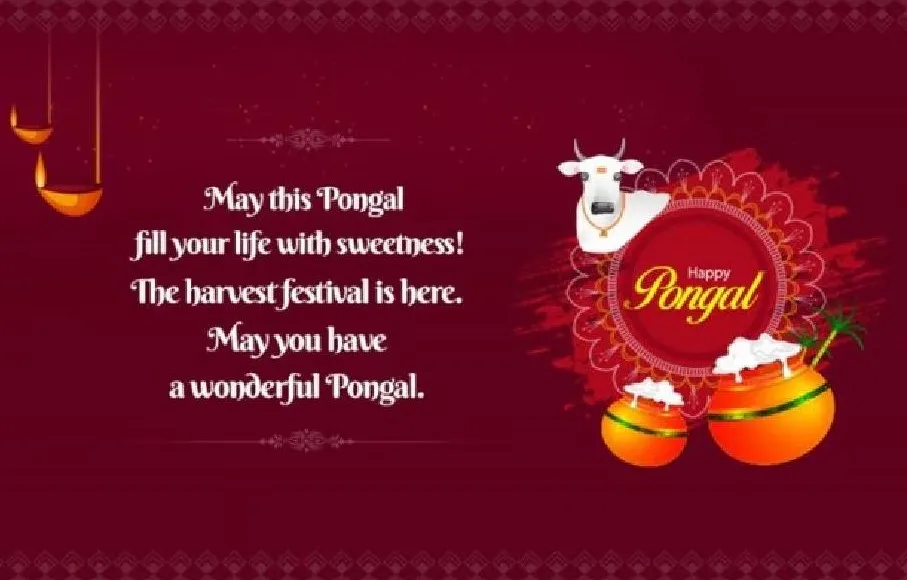 Pongal greet 5