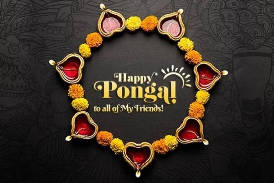 Pongal greet 2