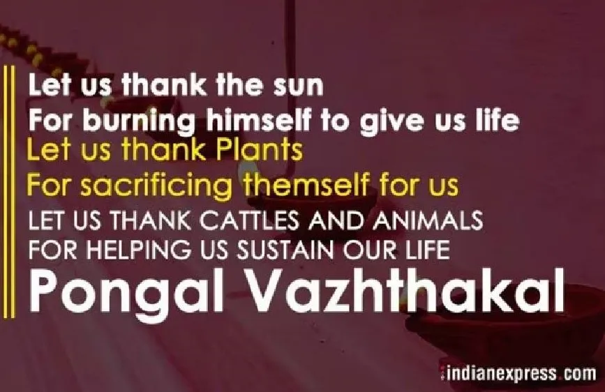 Pongal greet 3