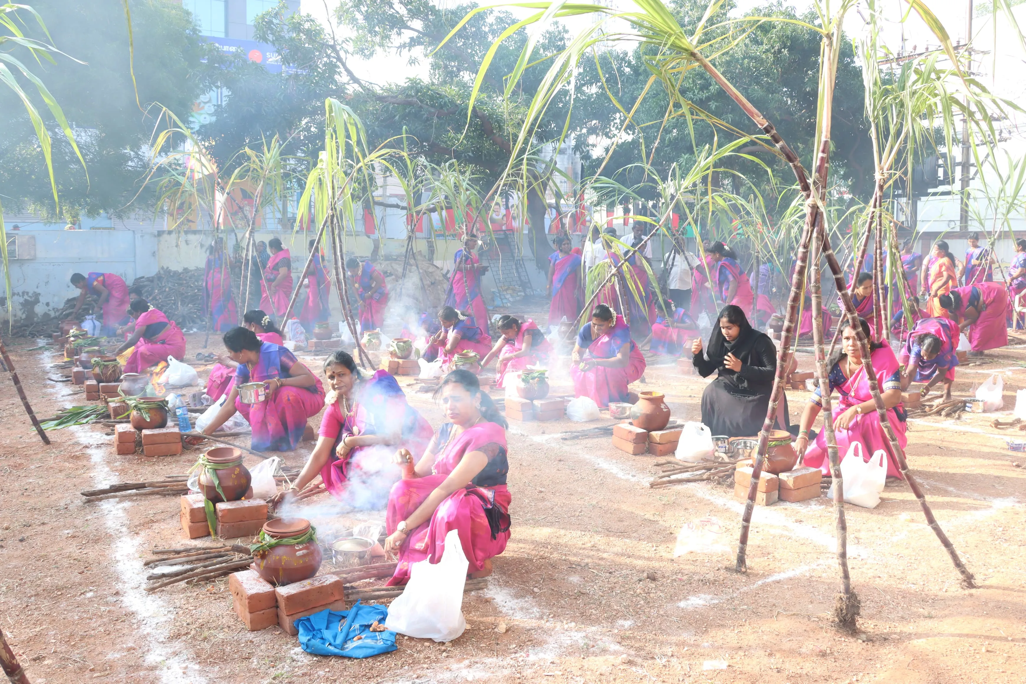 pongal kn 1