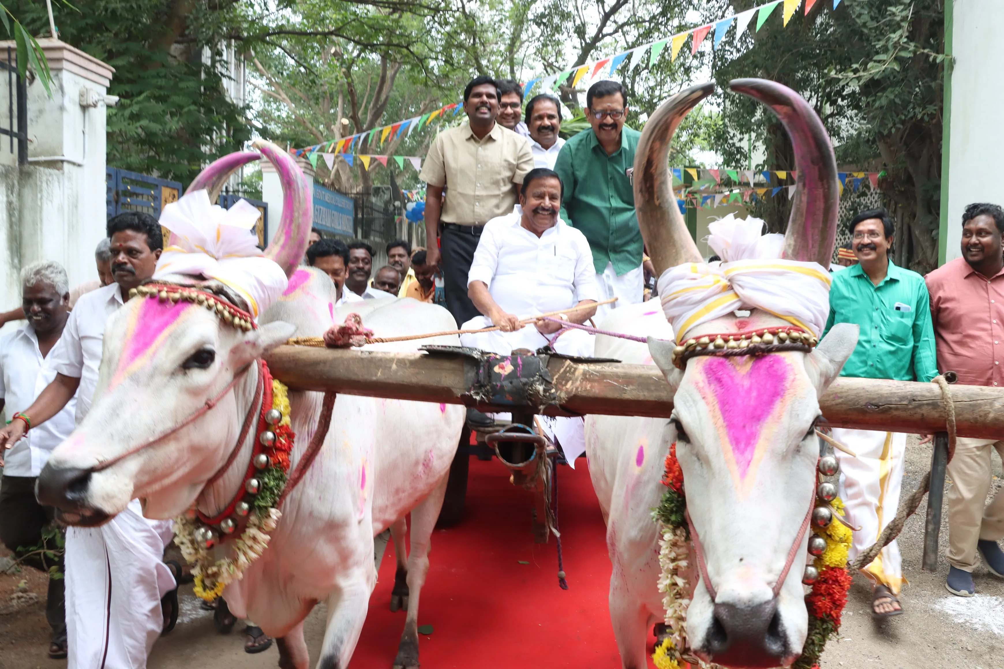 pongal kn 1