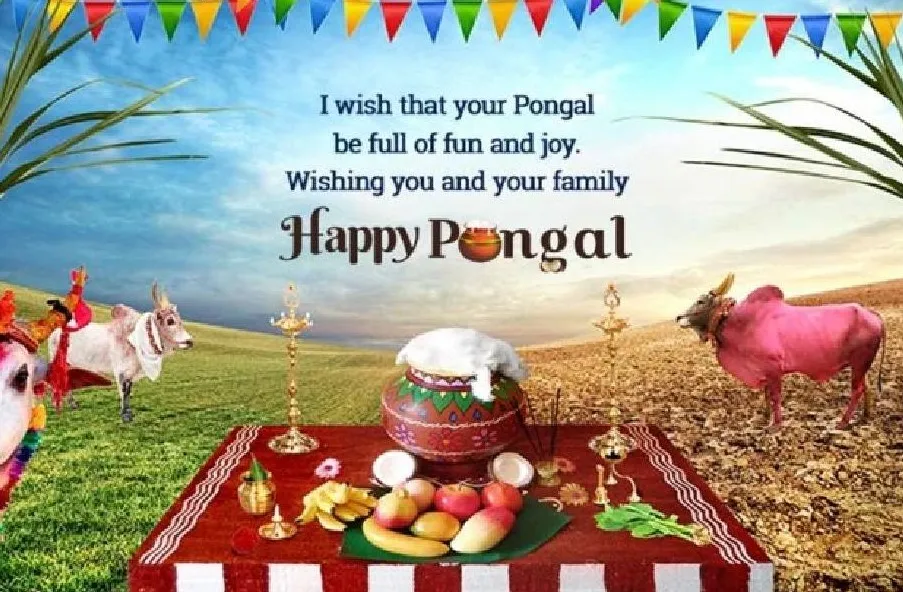 Pongal greet 7