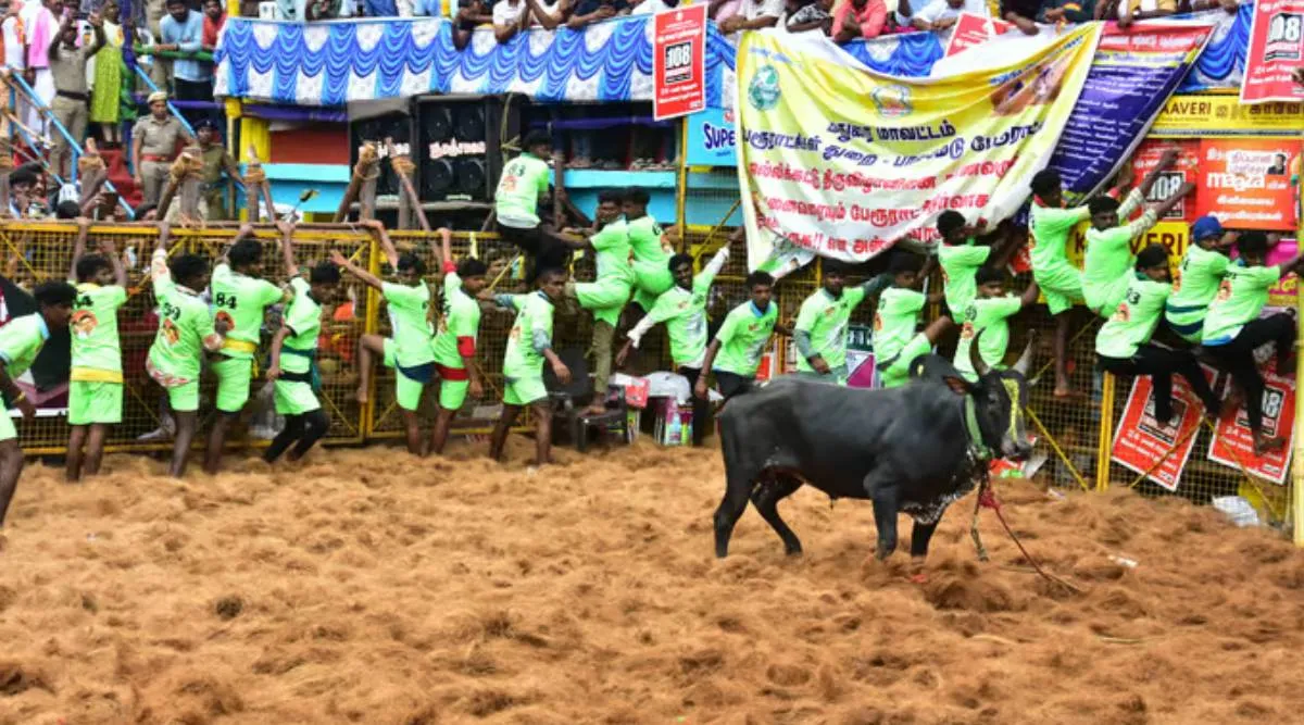 பாலமேடு