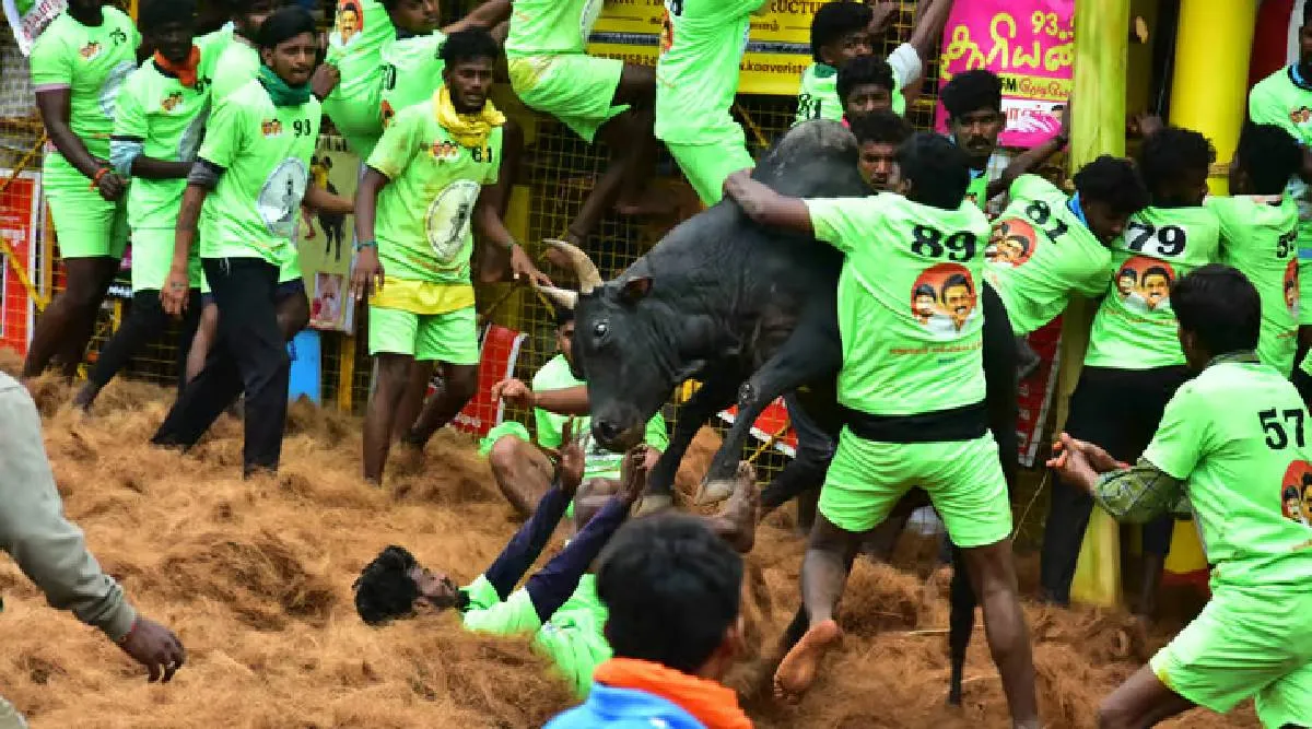 பாலமேடு