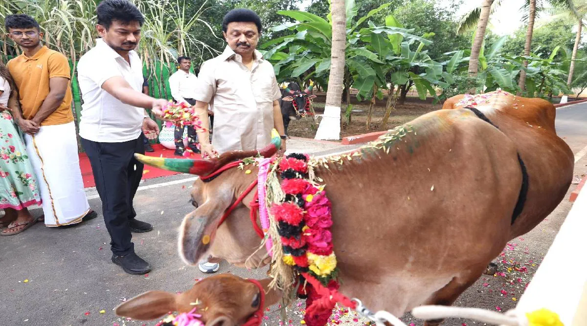 துணை முதல்வர் பொங்கல் க்ளிக்ஸ்