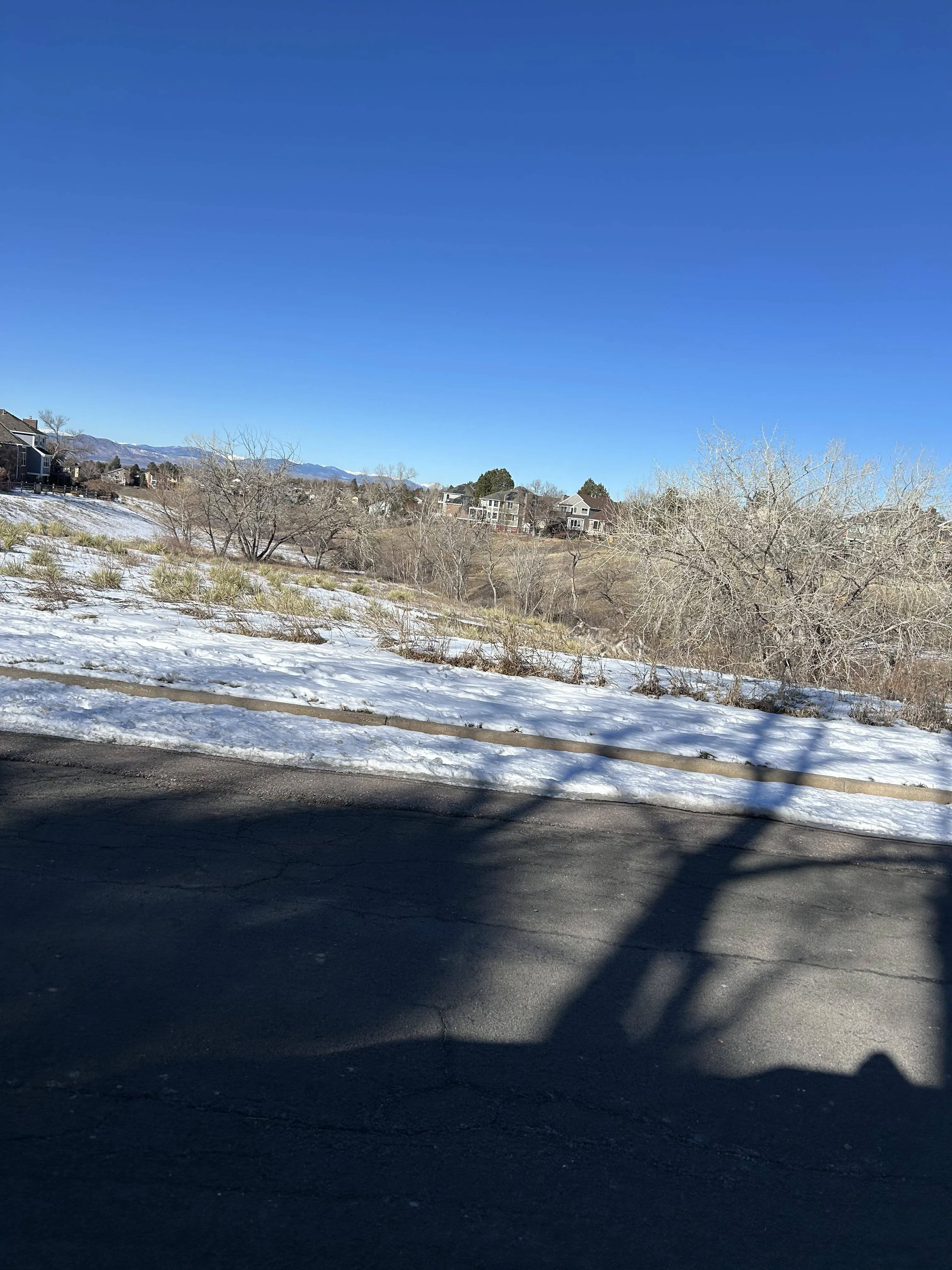 Find The Coyote 3