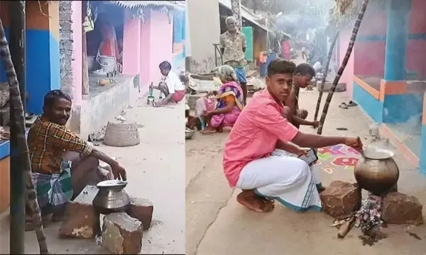 pongal Pachamalai