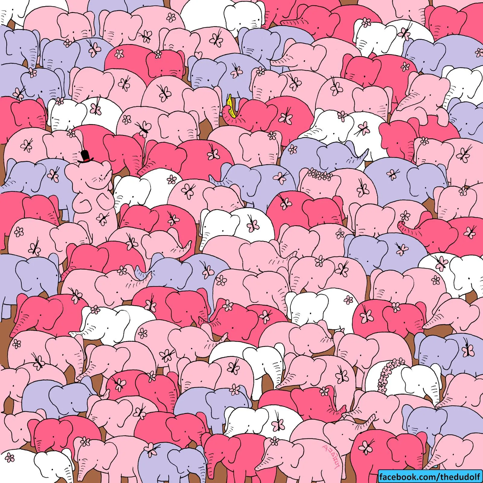 Elephant heart