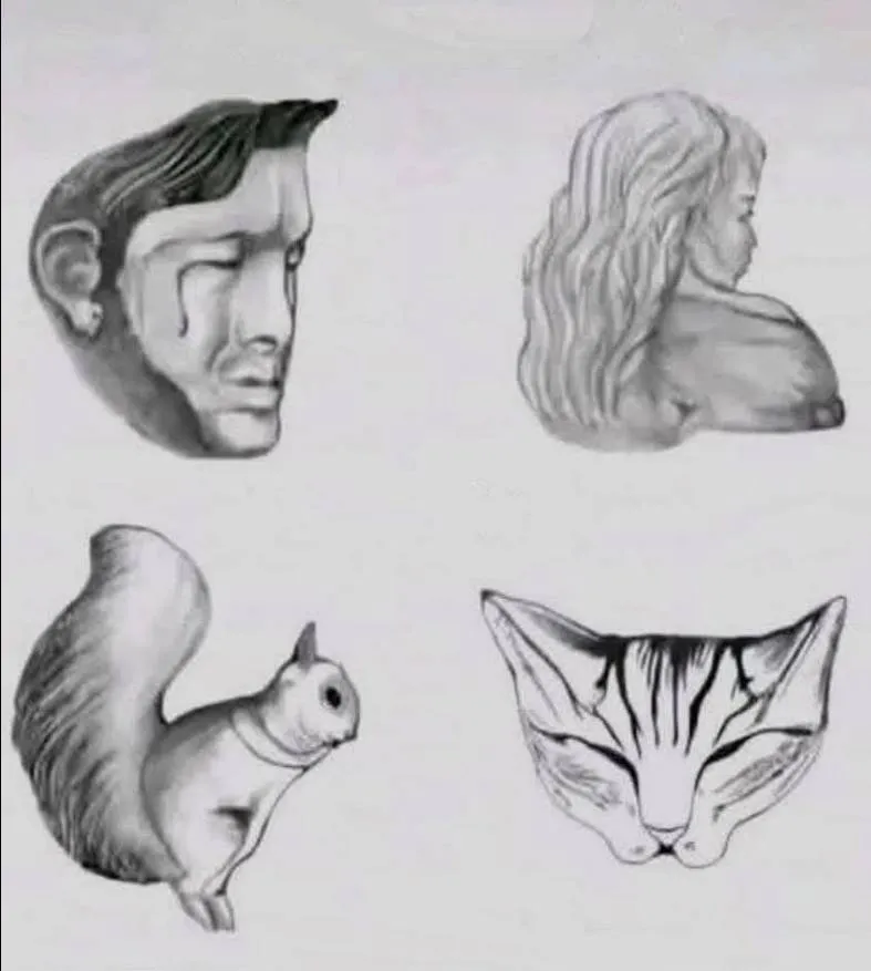 hidden animals