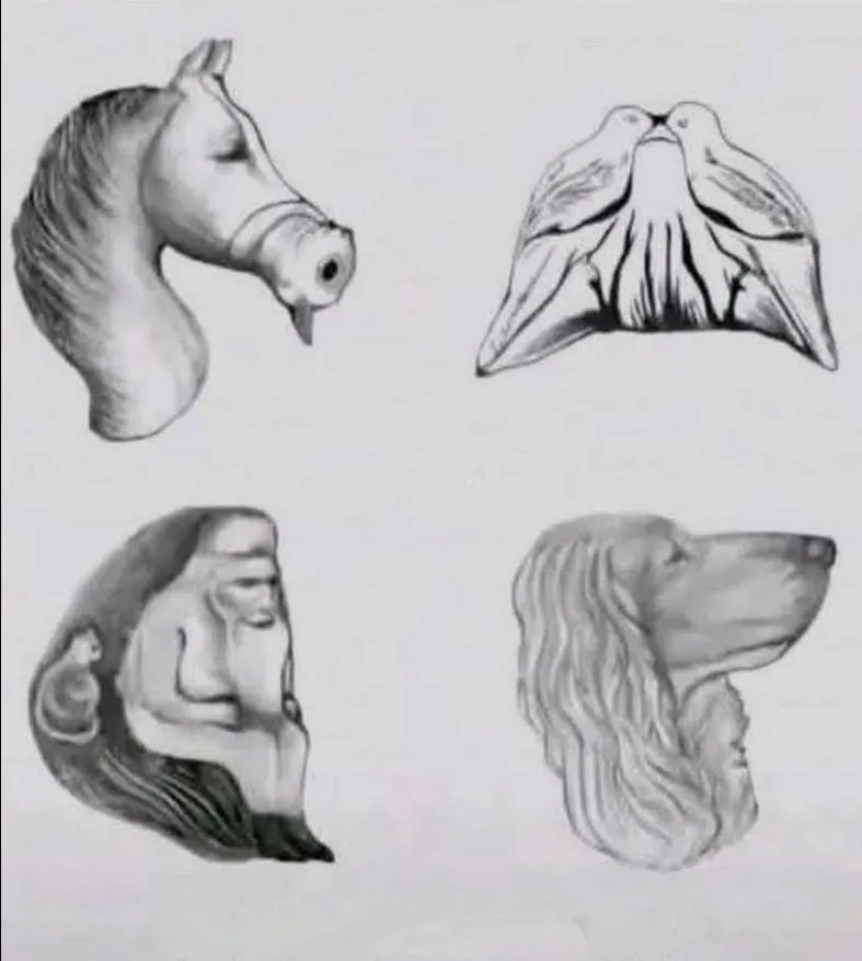 hidden animals