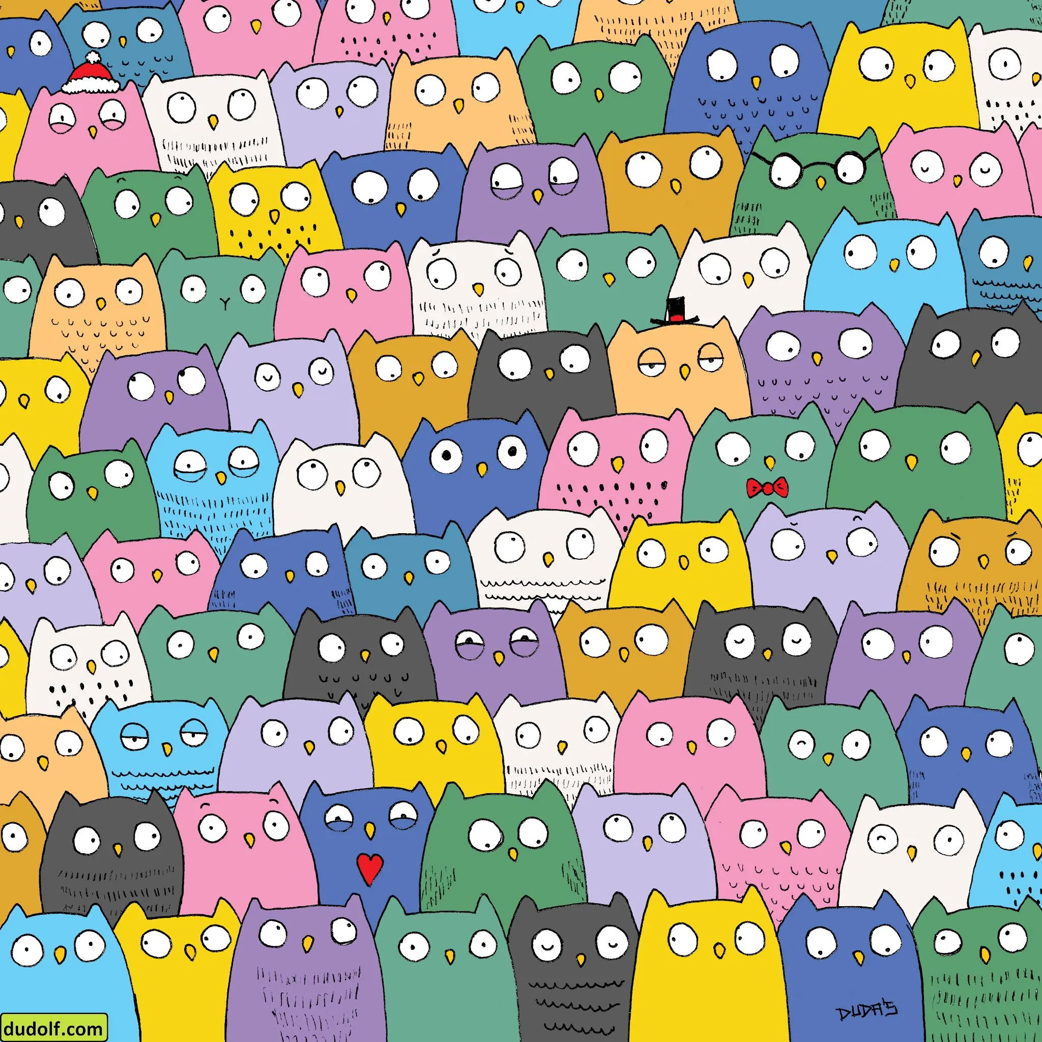Cat among Ow