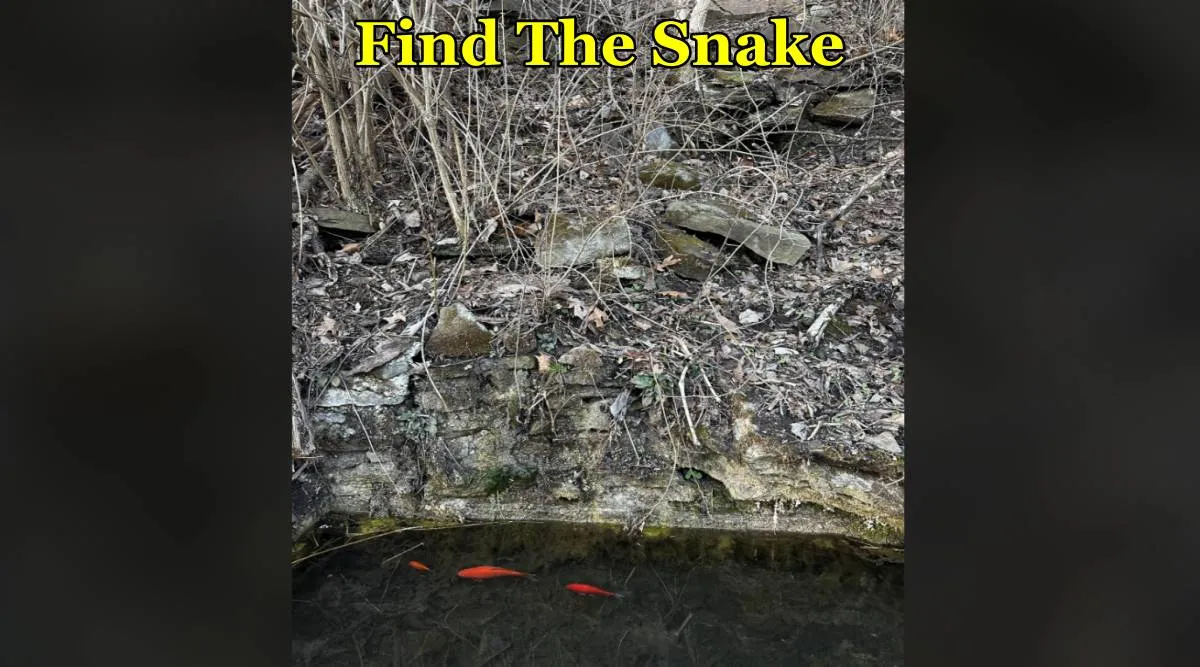 Snake rope 2 one