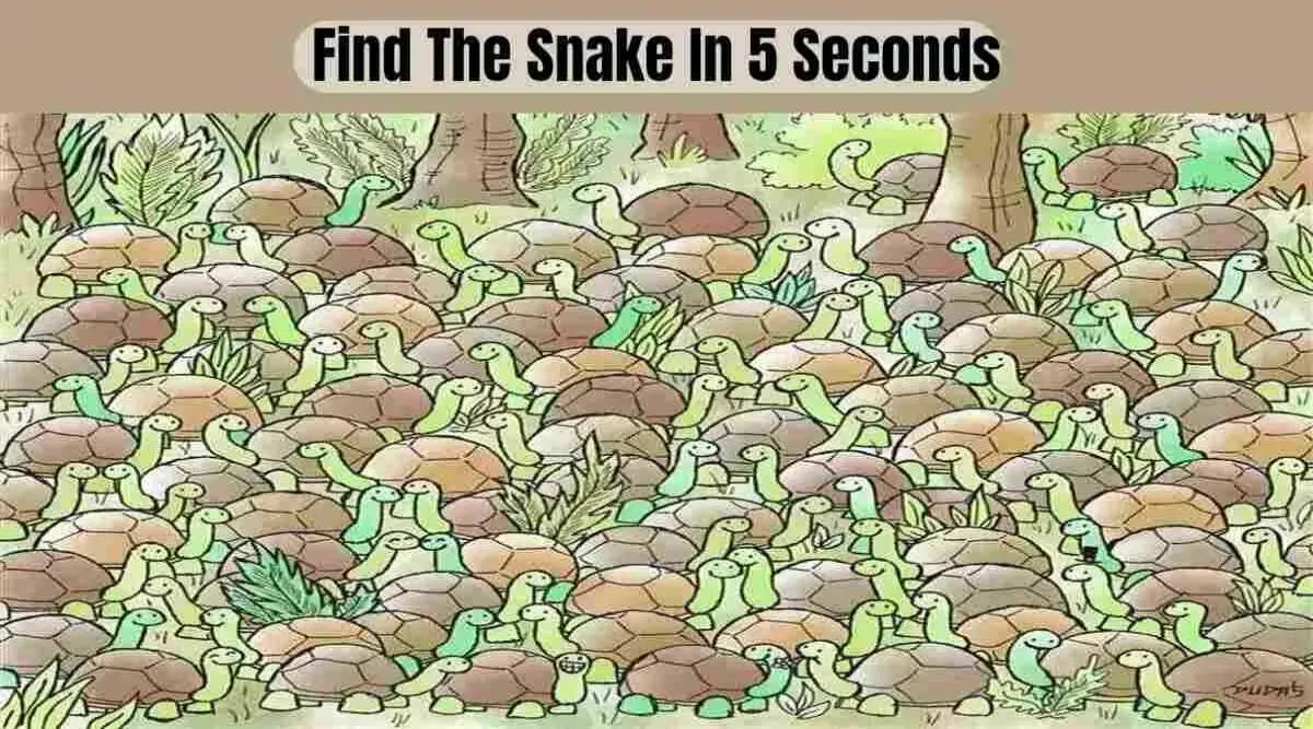 FS five seconds