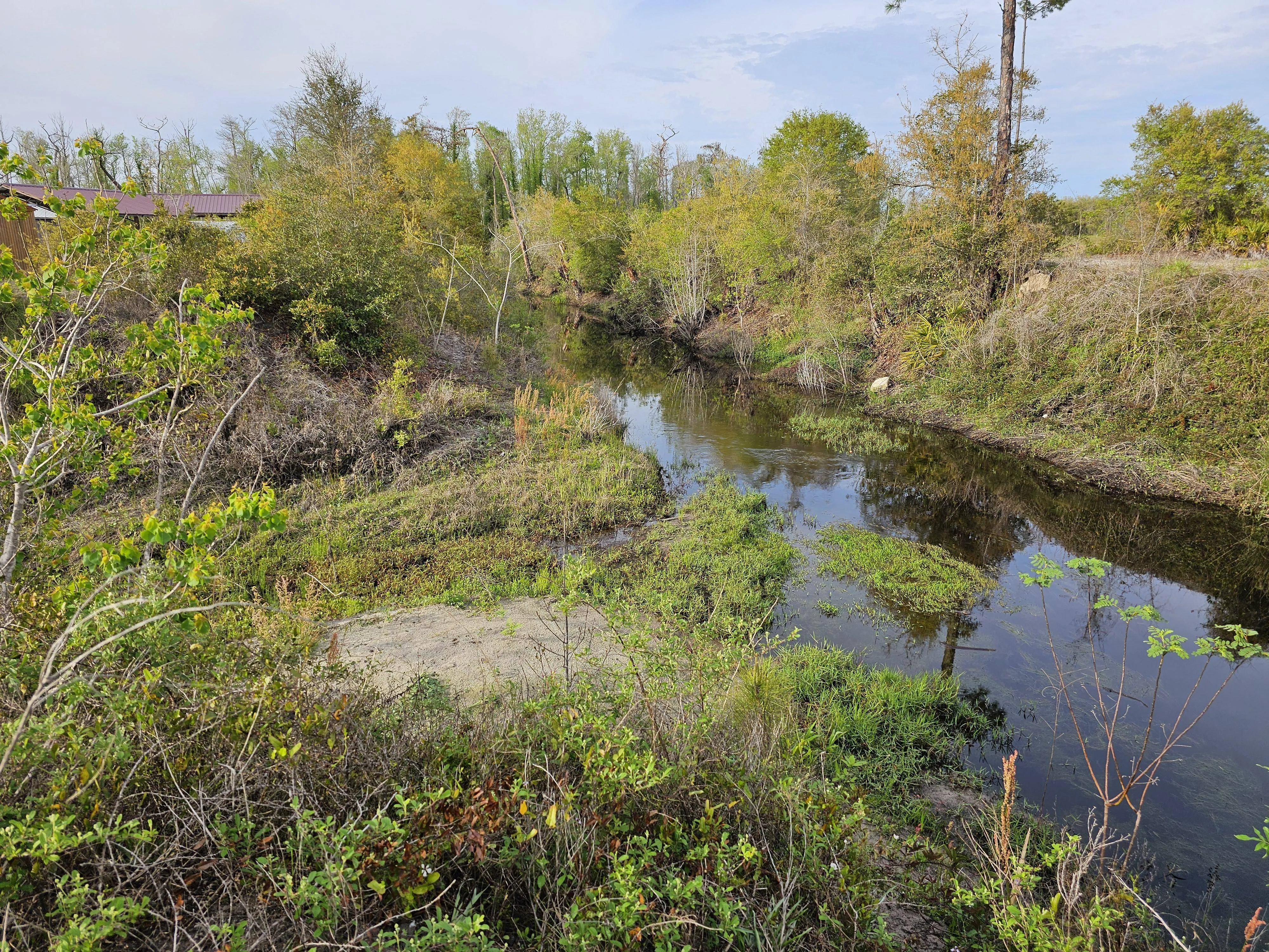 Gator 