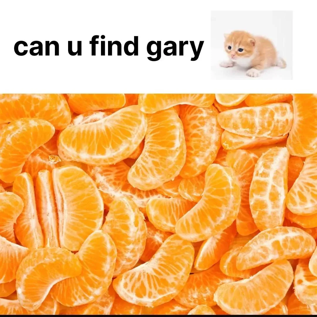 Gary 