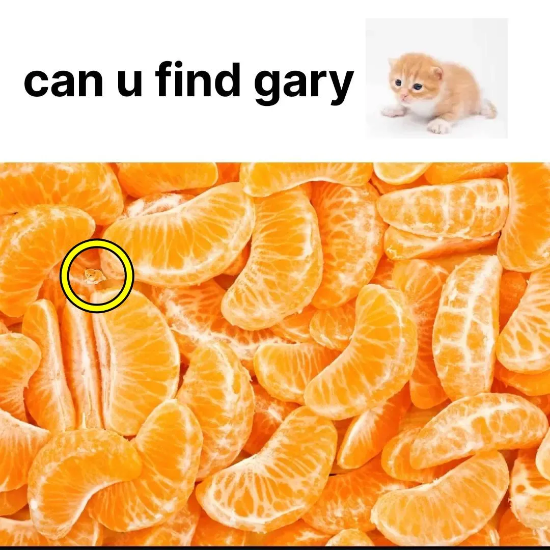 Gary 