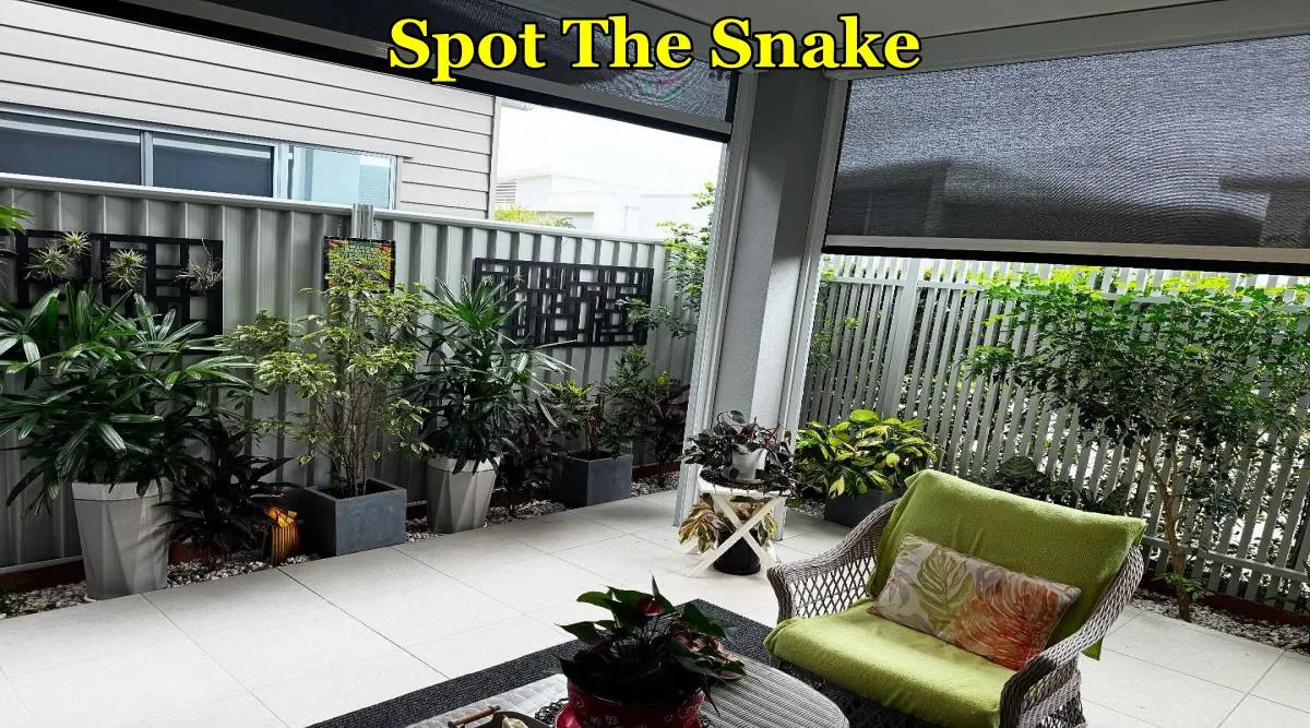 snake