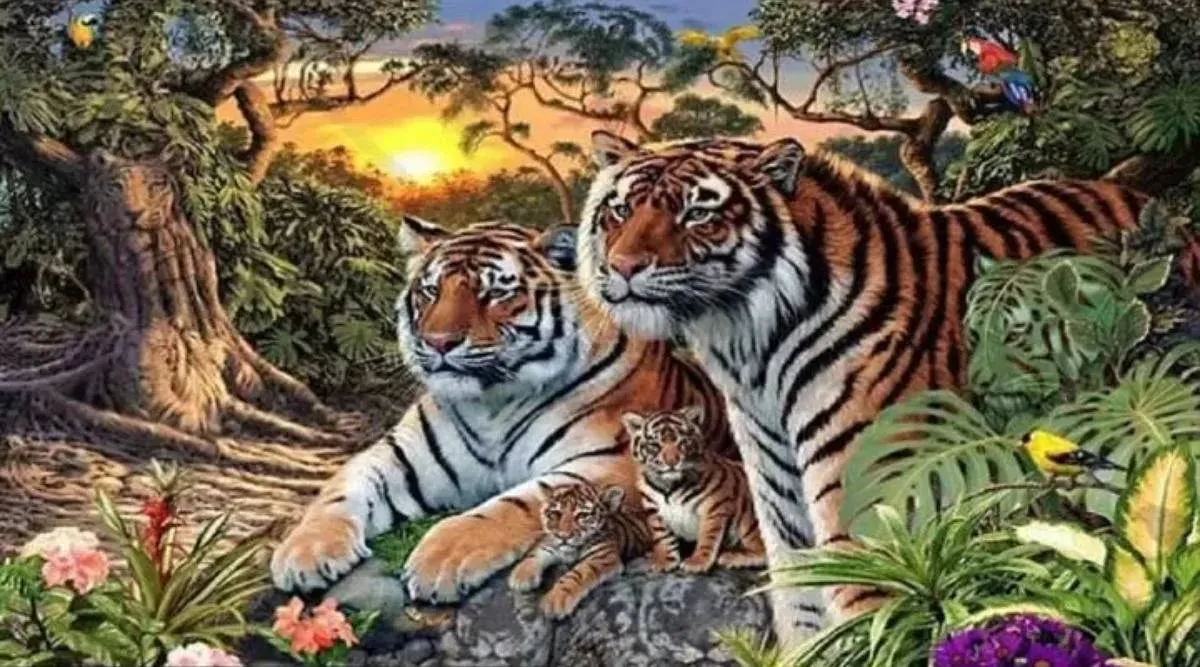 tigers illusion