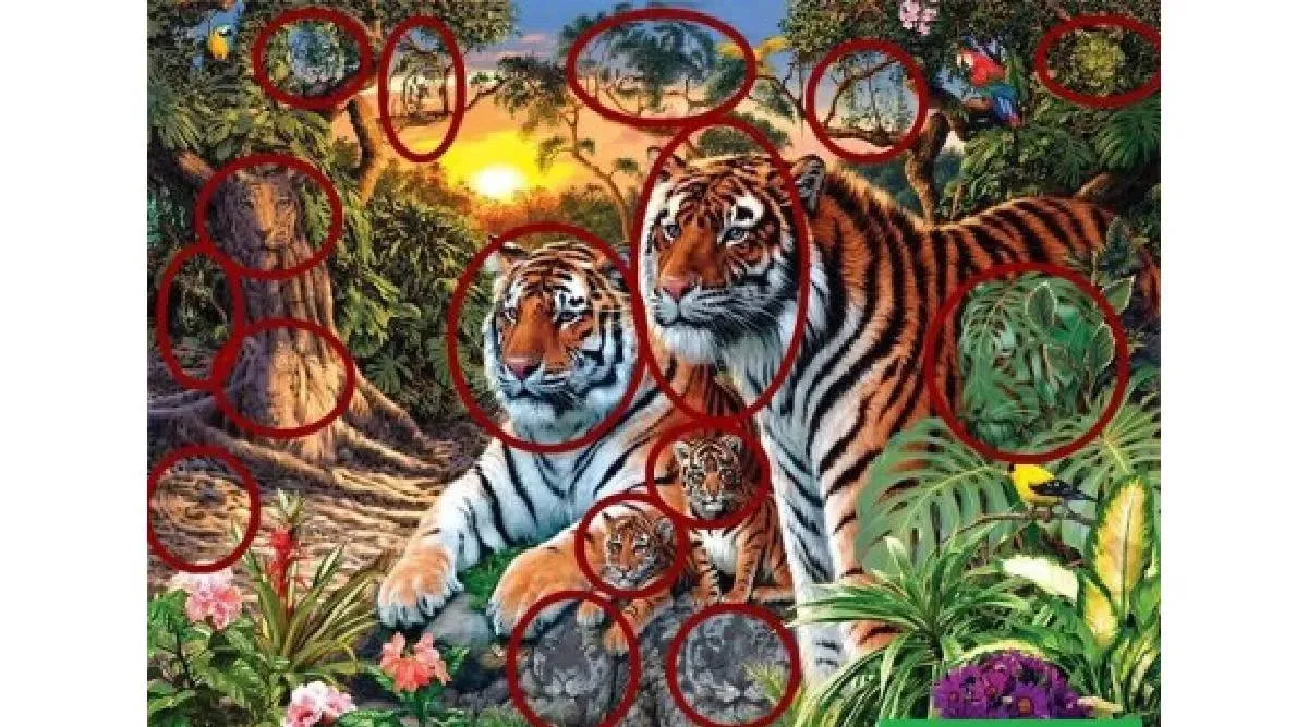 tigers illusion