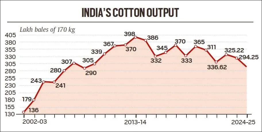cotton