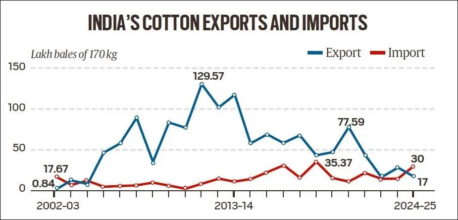 cotton