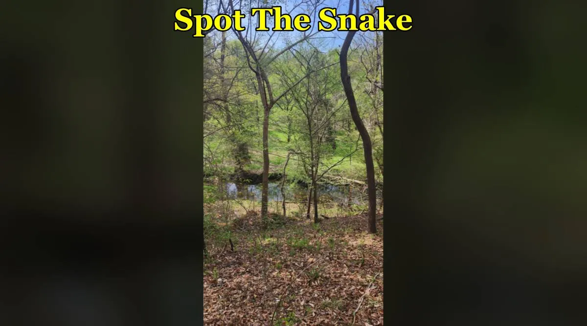 snake