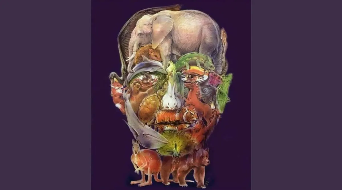 animal