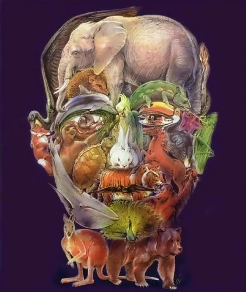 animal