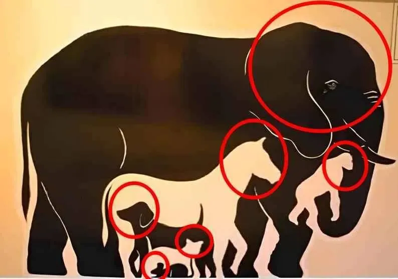 animal