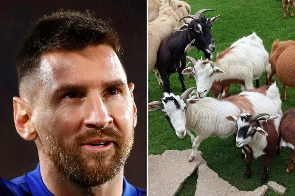 Messi goat 3