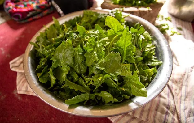 Saag 