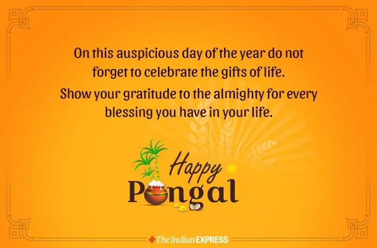 Pongal-Wishes_4.webp