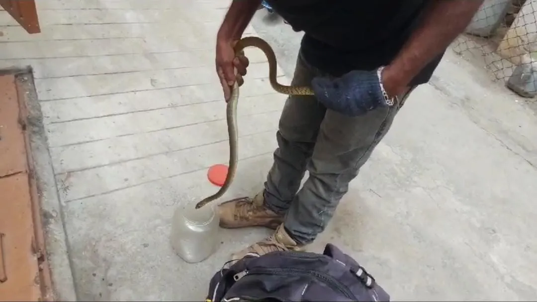 Coimbatore