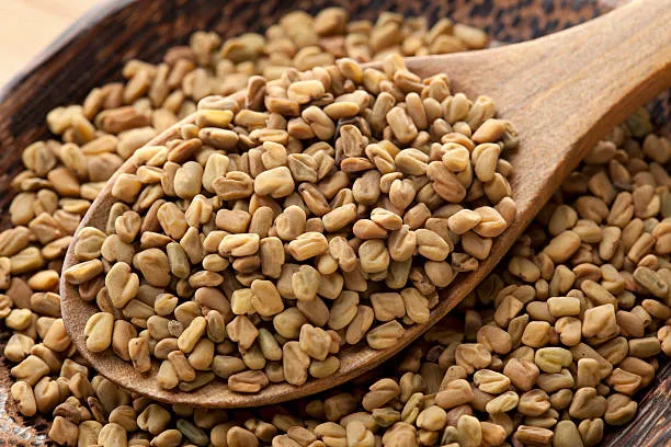 fenugreek 