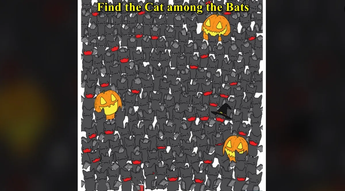 cat among bats 3