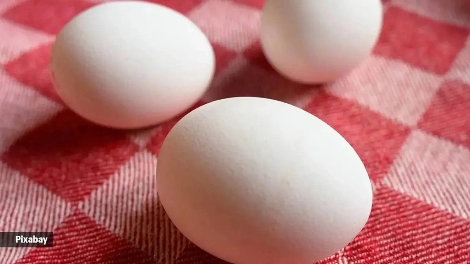 how to detect food adulteration egg