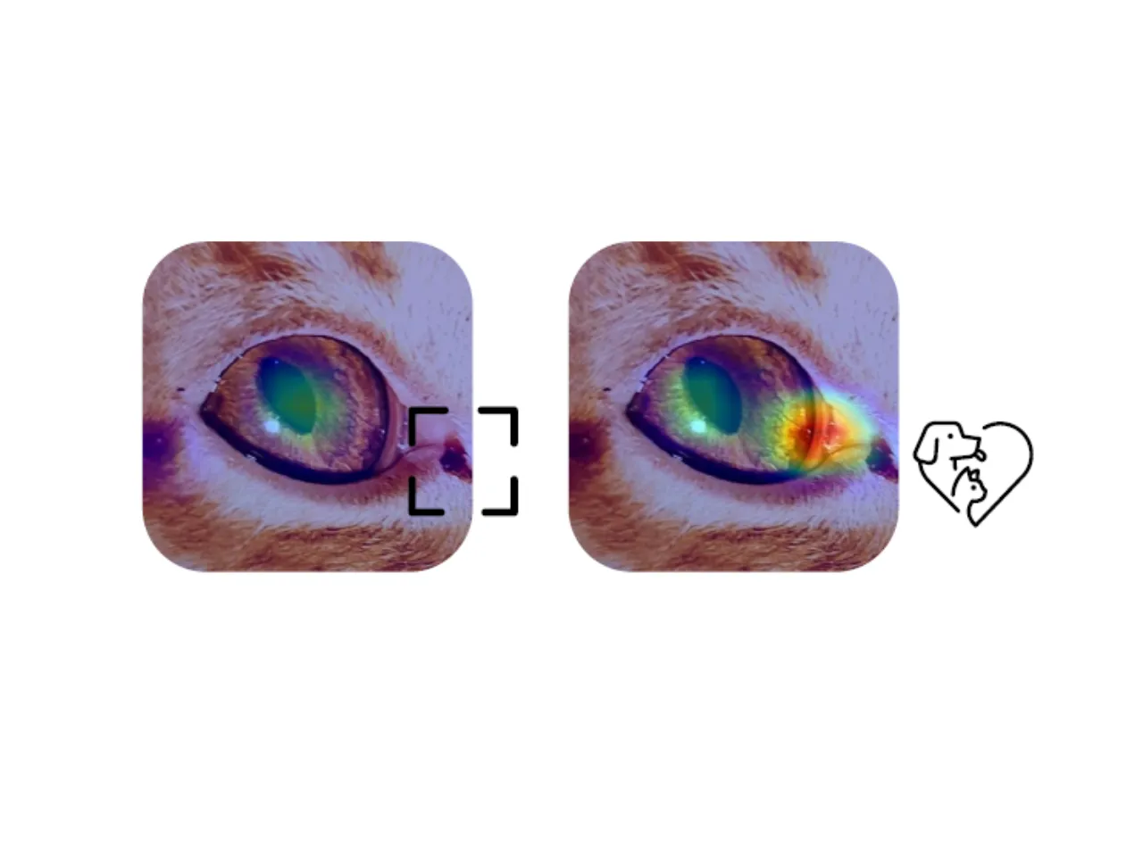 petscan pro