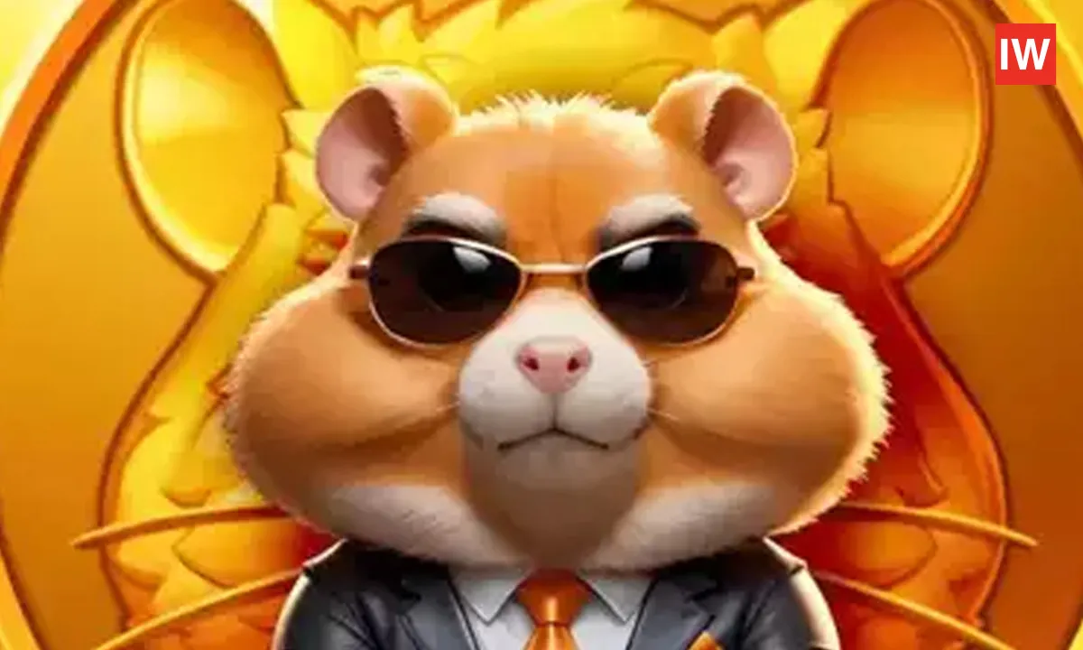 Today's-Hamster-