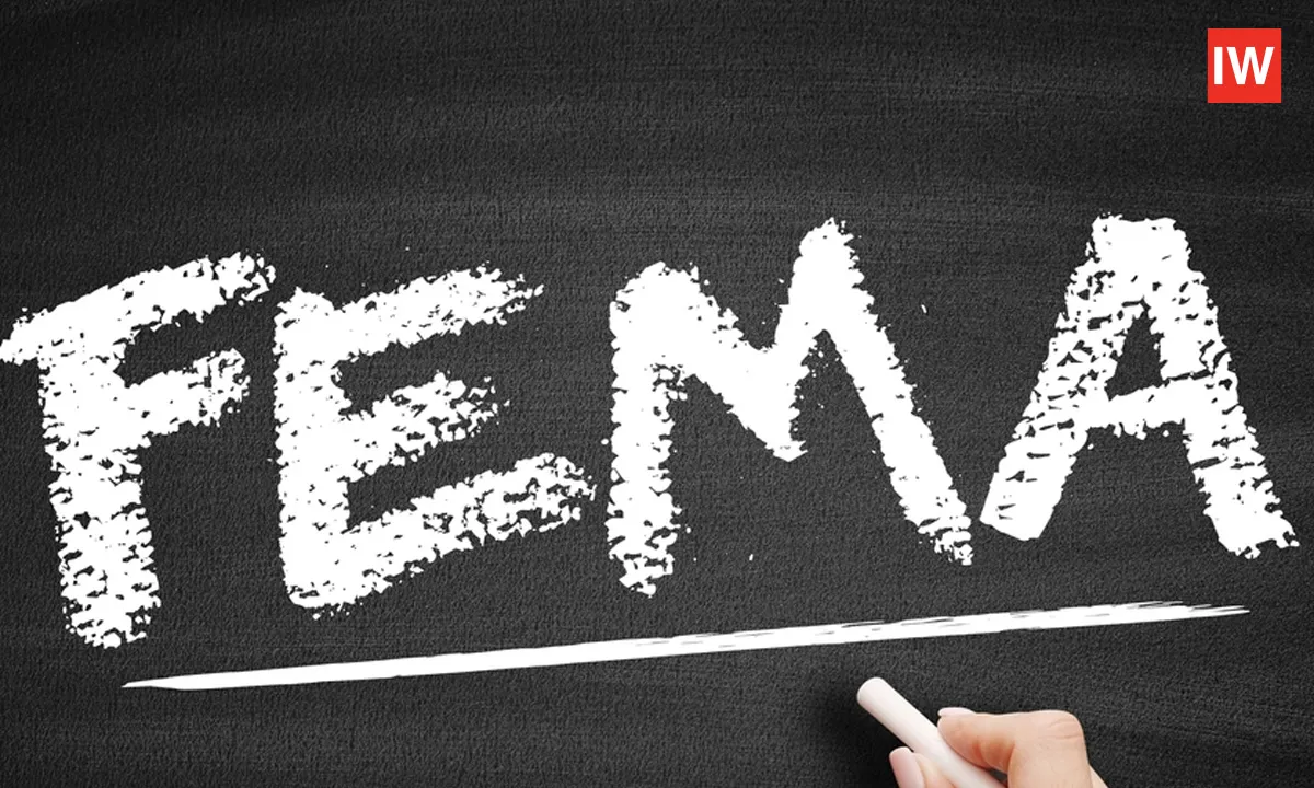 Understanding-FEMa
