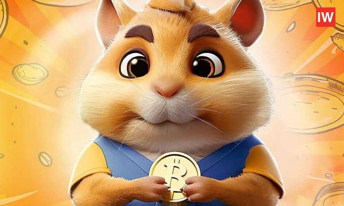 Today's-Hamster